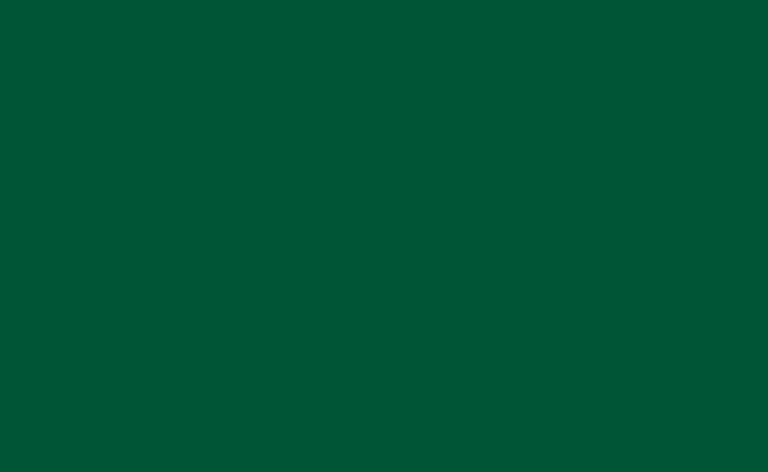 440/Lucida Зелёный бильярд